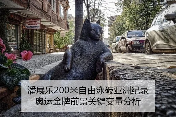 pan-zhan-le-mi-zi-you-yong-po-ya-zhou-ji-lu-ao-yun-jin-pai-qian-jing-guan-jian-bian-liang-fen-xi-2-181.jpg